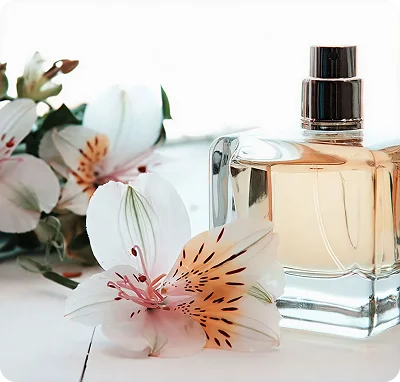 our profession image